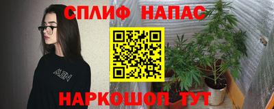 хмурый Дубна