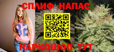 гидропоника Донской