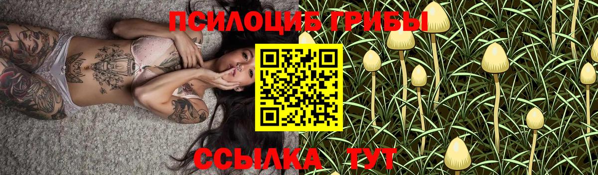 Мытищи  дарнет шоп  Галлюциногенные грибы Magic Shrooms  Вход с VPN  Галлюциногенные грибы MAGIC MUSHROOMS 