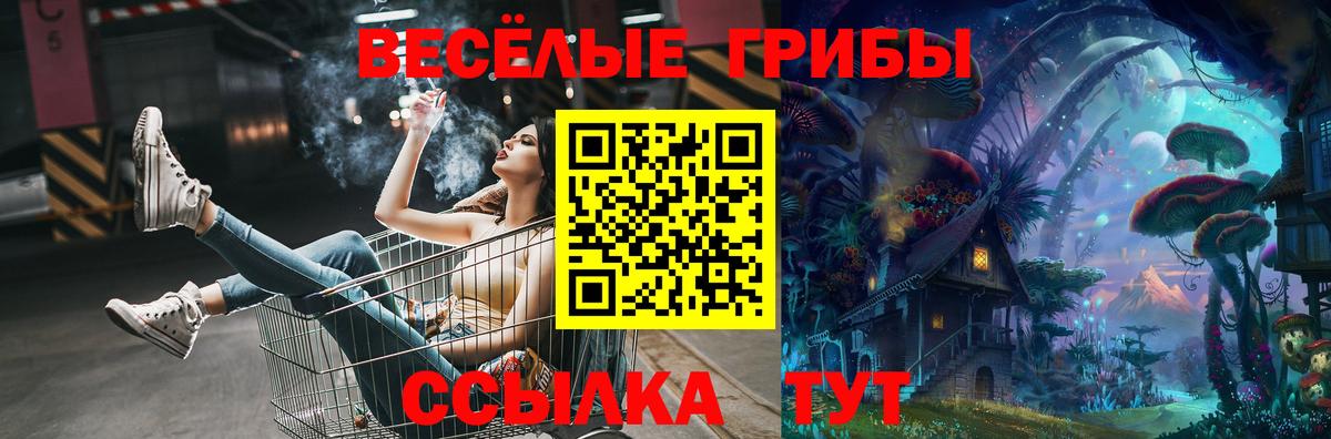 Галлюциногенные грибы MAGIC MUSHROOMS Мытищи